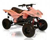 2010 BamX BX50-S Side Kick photo